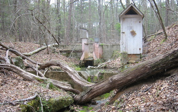 watershed research site at the Calhoun CZO in the Southeast Piedmont.